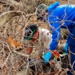 Emergency Restoration Services: What the Pros Know That Most People Don’t