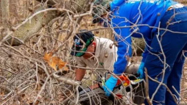 Emergency Restoration Services: What the Pros Know That Most People Don’t