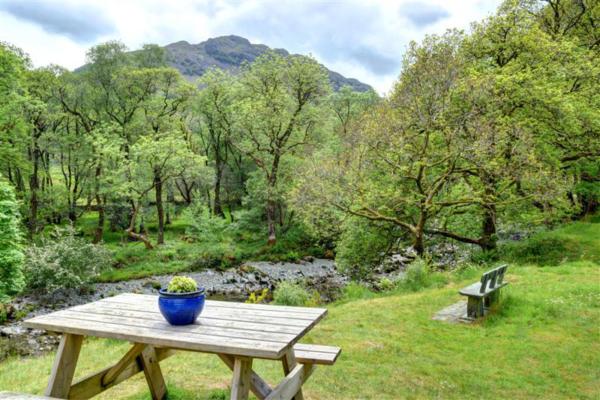 Peaceful Rural Breaks: Unwind in the UK’s Most Tranquil Countryside Escapes