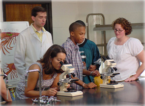 York Tech D2L Login