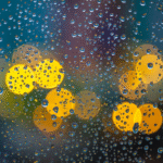 Understanding the Costs of New Window Installation Services