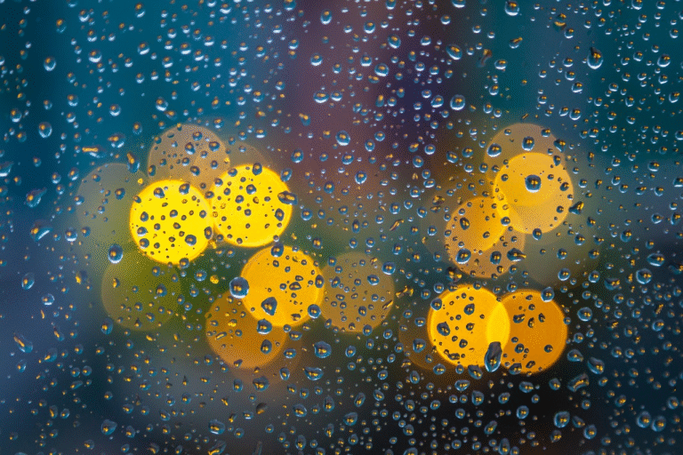 Understanding the Costs of New Window Installation Services